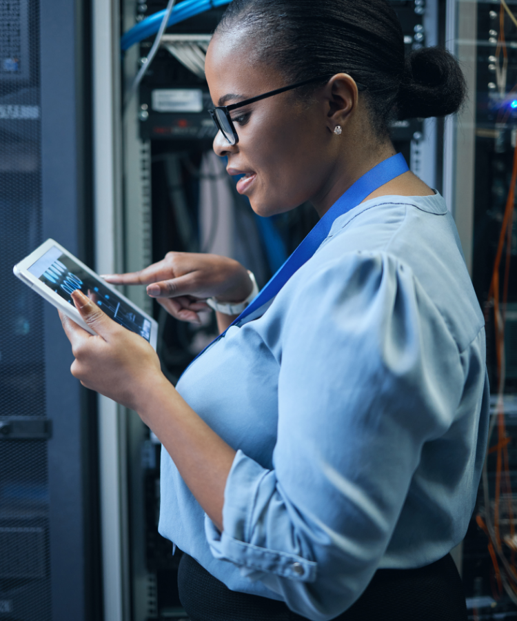 Business, IT & Program Management (2)